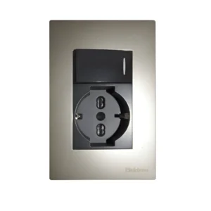 TOMA SCHUKO + INTERRUPTOR CHAMPAGNE C19937-1 PARIS LIGHT - ELEKTRON